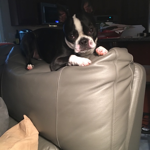 Meet your Posher, D- - Picture 2 of 3